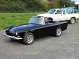 Jims Black Tiger
