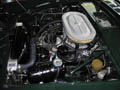 Engine Bay