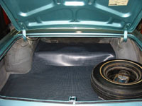 Trunk View