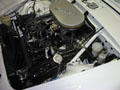 Engine Compartment View
